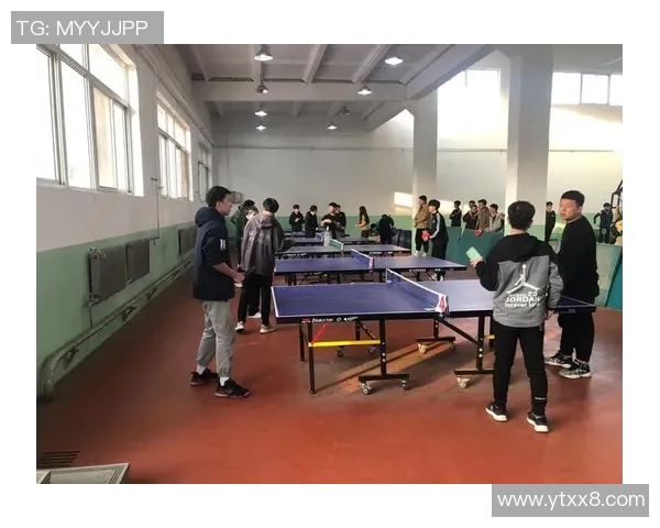 杨强独家分享乒乓球技巧与心得助你提升球技的秘密与经验