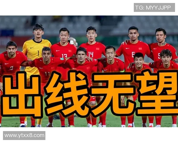 杭州排球队战术变革引发热议新策略助力球队崛起